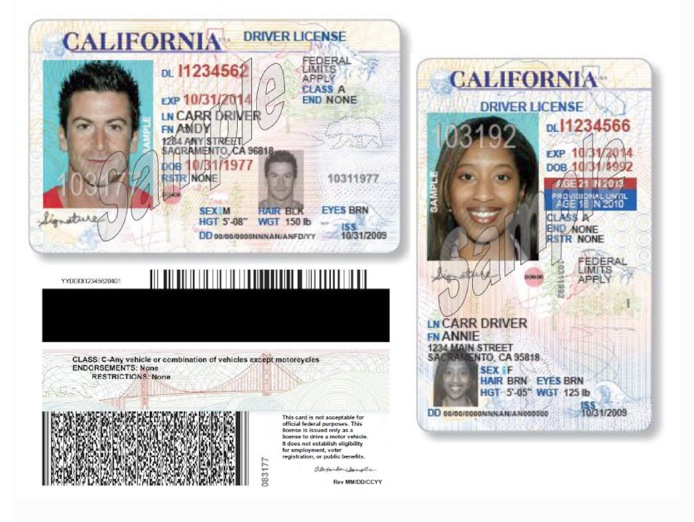 Driver License Los Angeles California - smallbusinessrevizion